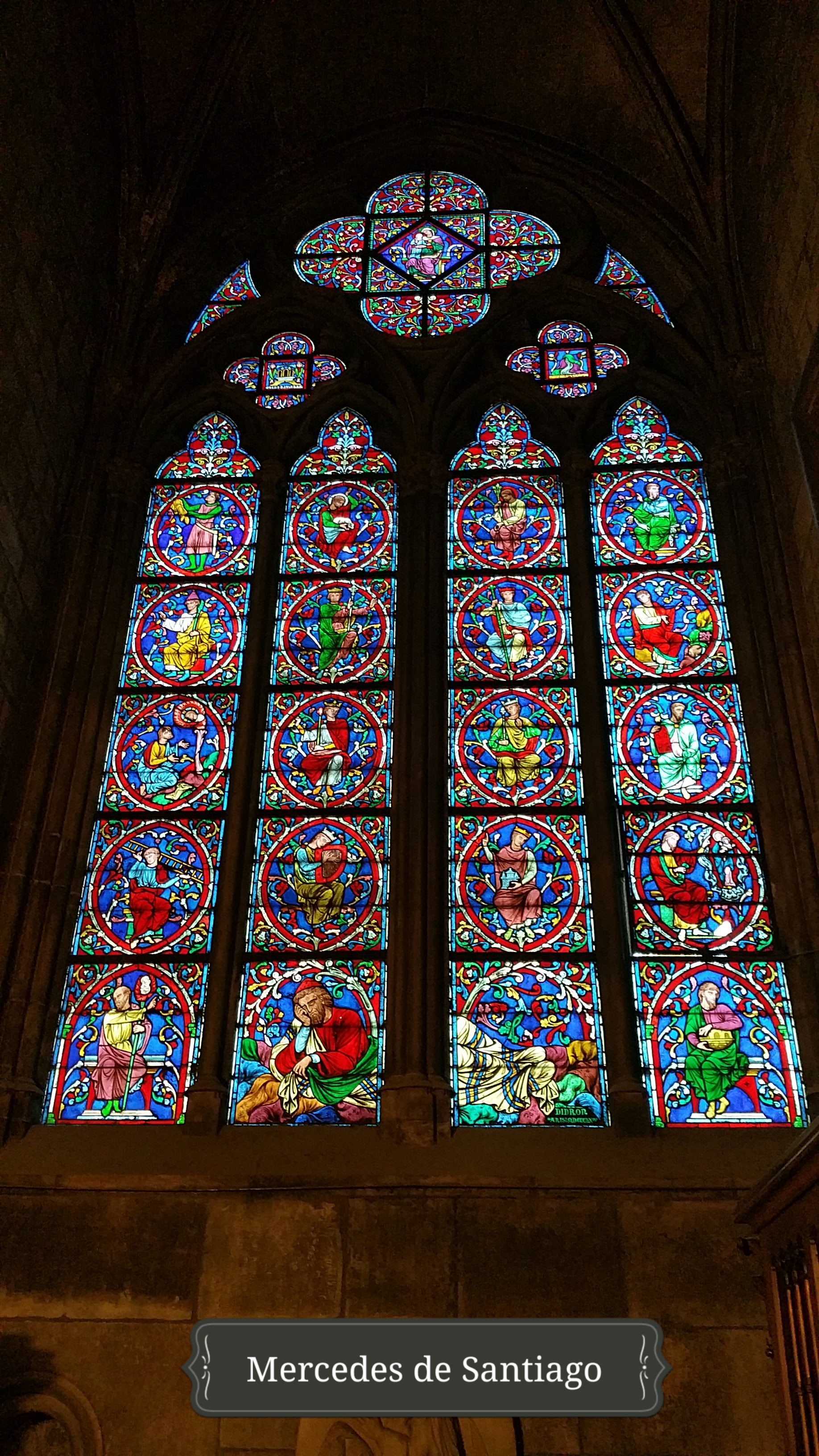 vidrieras de Notre Dame