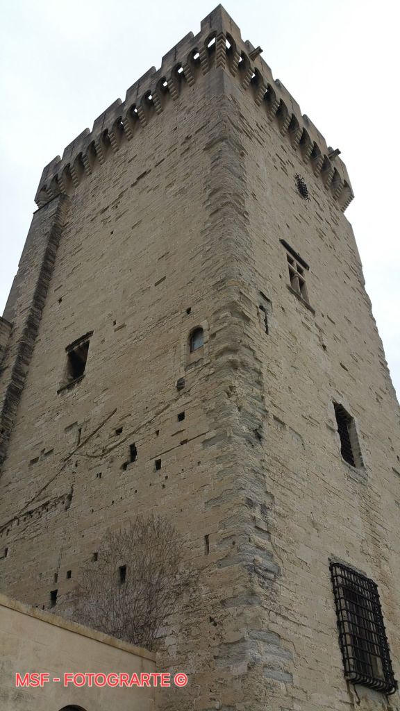 Torre Trouillard. Palacio de los Papas de Aviñón. Francia.